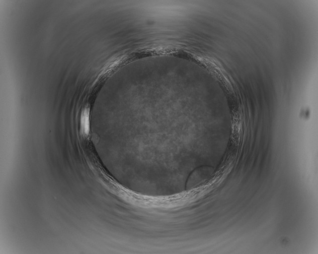 X0000097840046200803141217