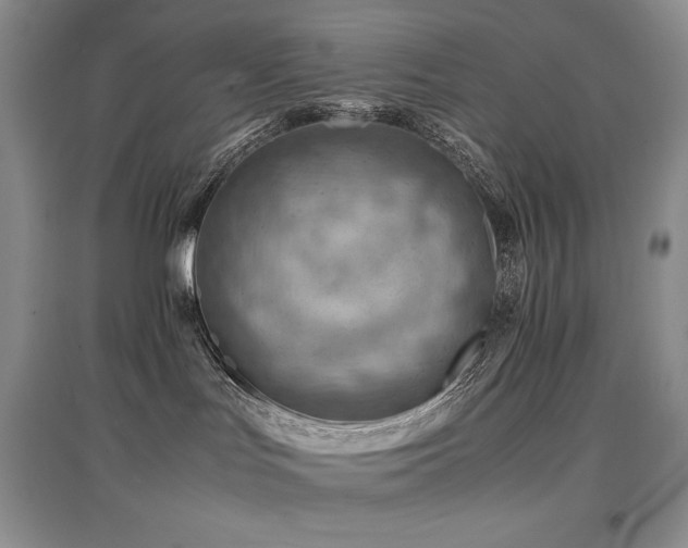 X0000097840047200803141217