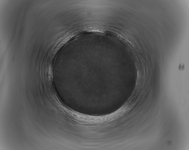X0000097840048200803141217