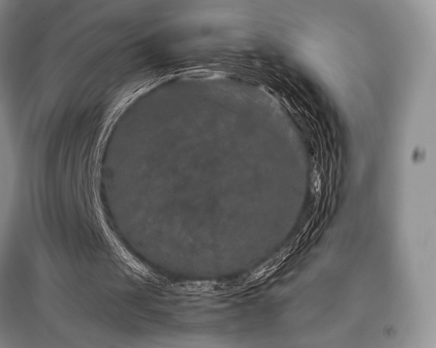 X0000097840049200803141217