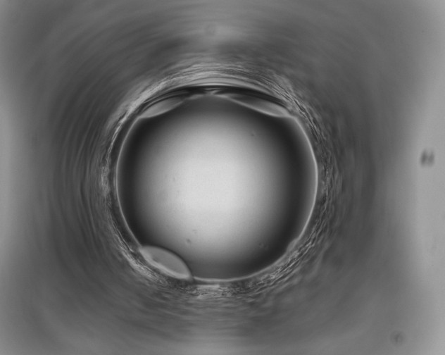 X0000097840050200803141217