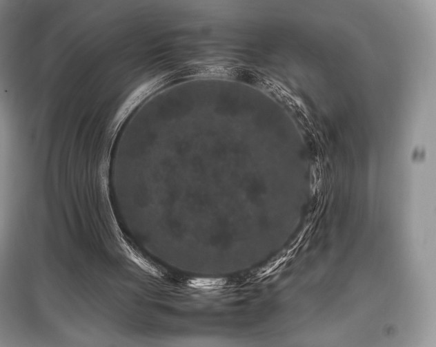 X0000097840051200803141217