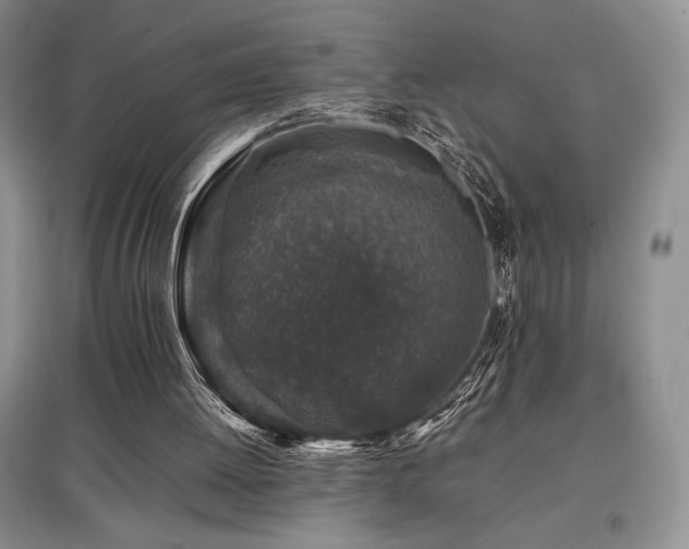 X0000097840052200803141217