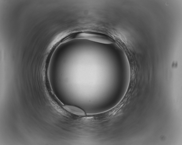 X0000097840054200803141217