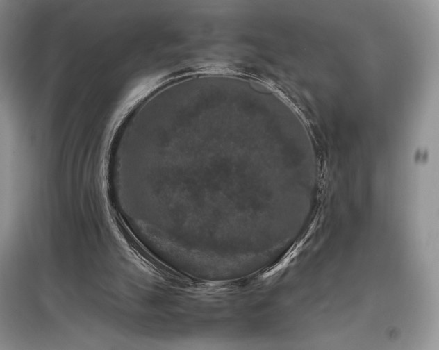 X0000097840055200803141217