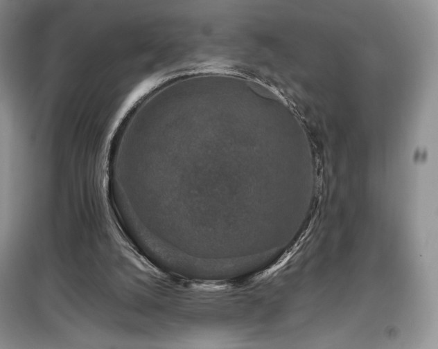 X0000097840056200803141217