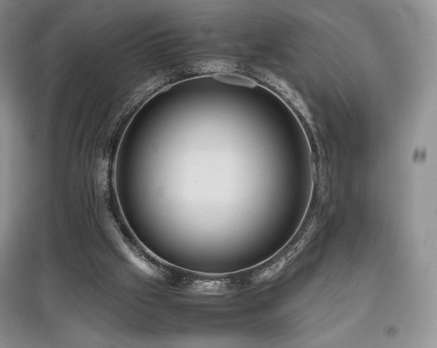 X0000097840057200803141217