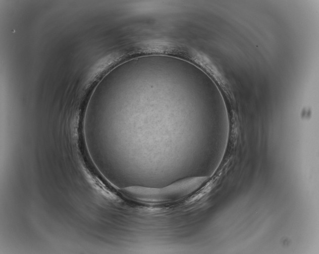 X0000097840058200803141217