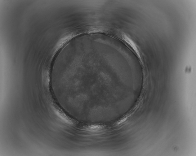 X0000097840059200803141217