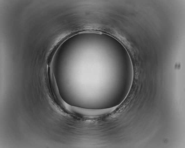 X0000097840060200803141217