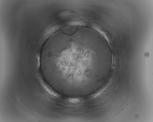 X0000097840061200803141217