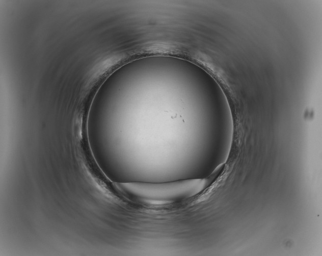 X0000097840062200803141217