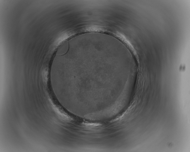 X0000097840063200803141217