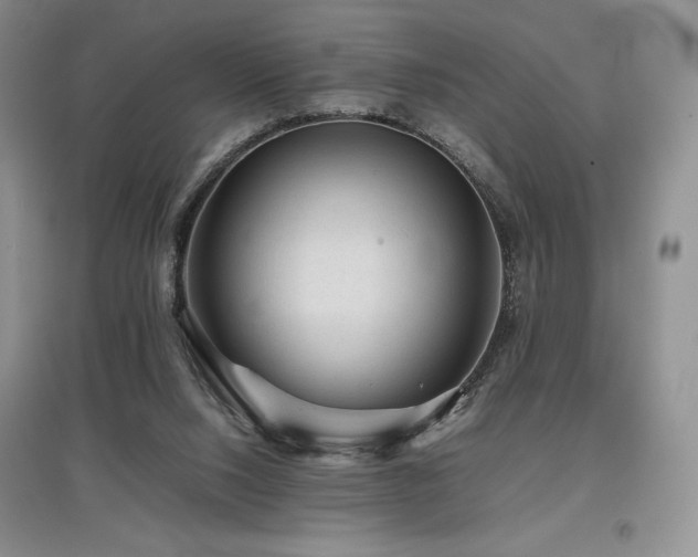 X0000097840064200803141217