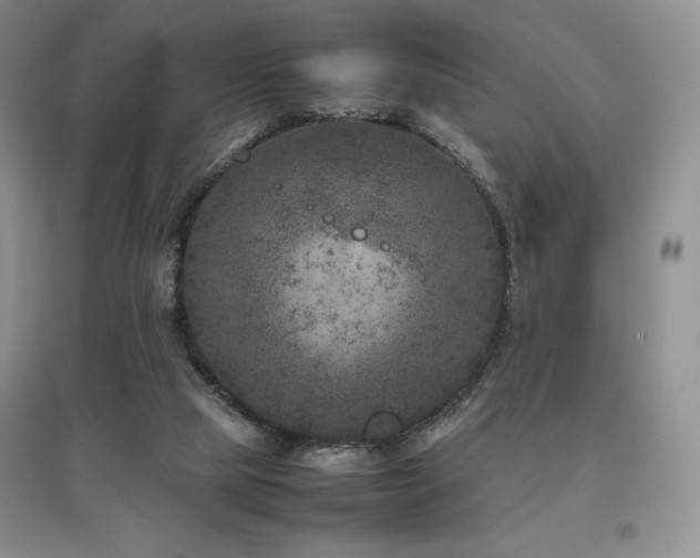 X0000097840065200803141217