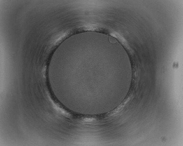 X0000097840066200803141217