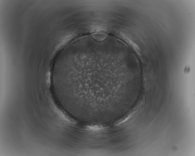X0000097840067200803141217
