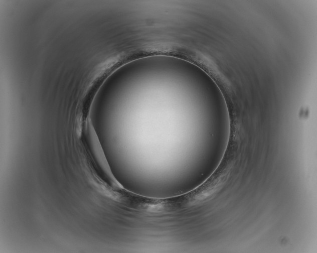 X0000097840068200803141217