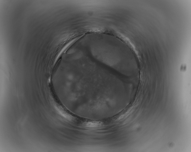 X0000097840069200803141217