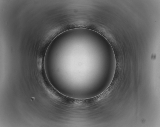 X0000097840070200803141217