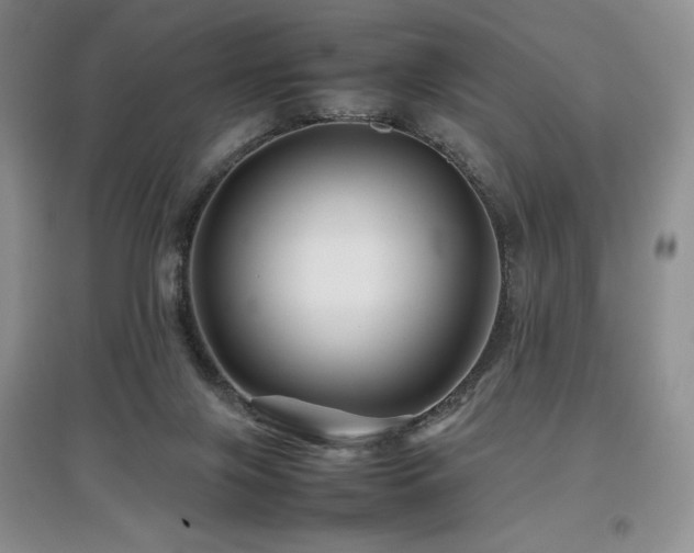 X0000097840071200803141217