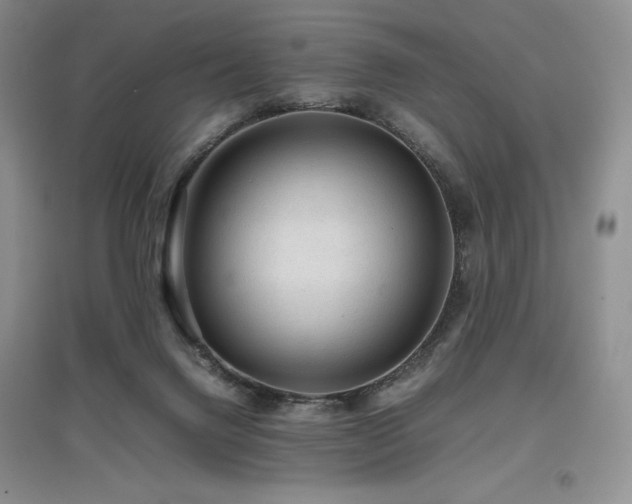 X0000097840072200803141217