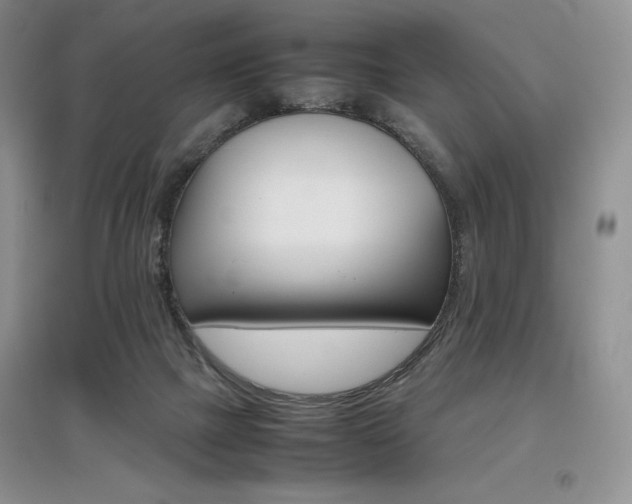 X0000097840073200803141217