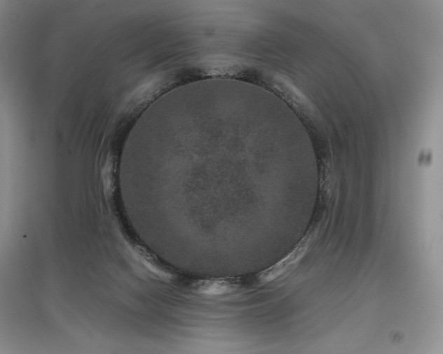 X0000097840074200803141217