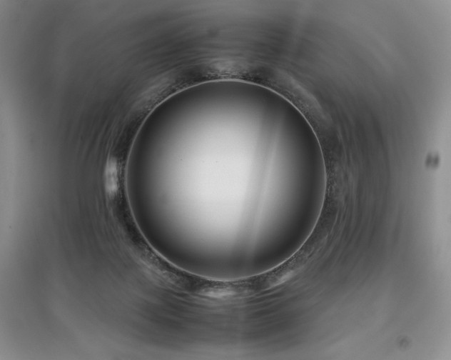 X0000097840075200803141217