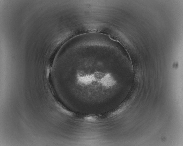 X0000097840076200803141217