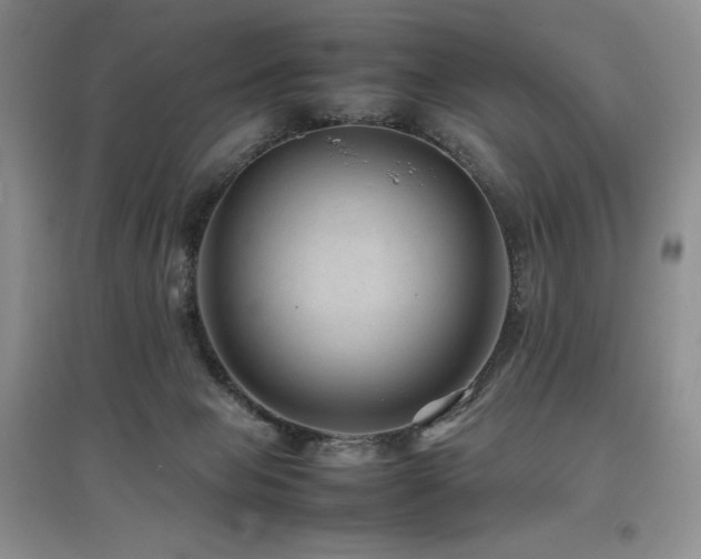 X0000097840077200803141217