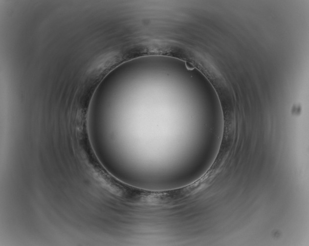 X0000097840078200803141217