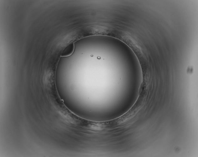 X0000097840079200803141217