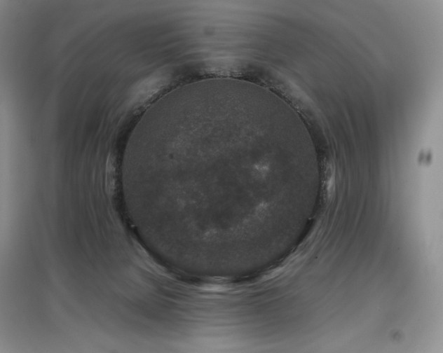 X0000097840080200803141217