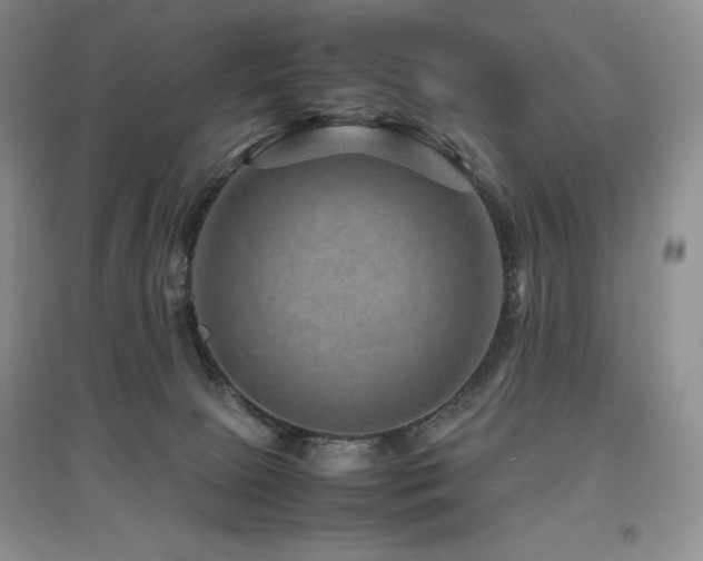 X0000097840081200803141217