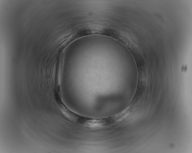 X0000097840082200803141217