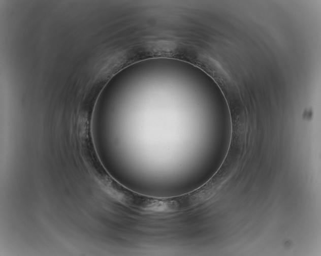 X0000097840083200803141217