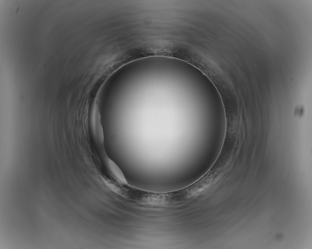 X0000097840084200803141217