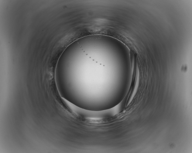 X0000097840085200803141217