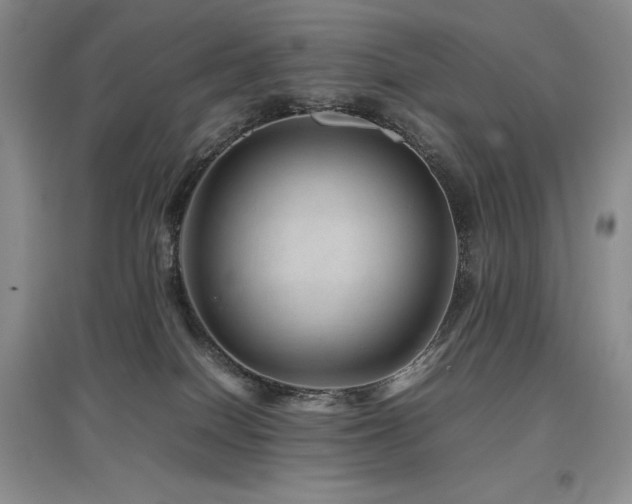 X0000097840086200803141217