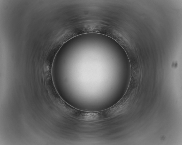 X0000097840087200803141217