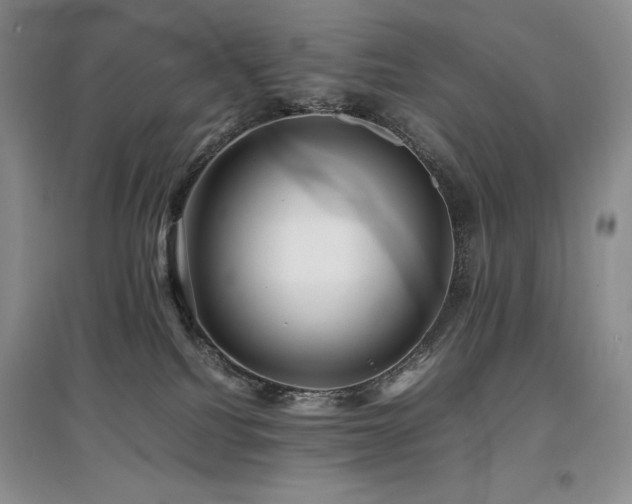 X0000097840088200803141217