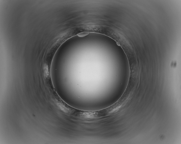 X0000097840089200803141217