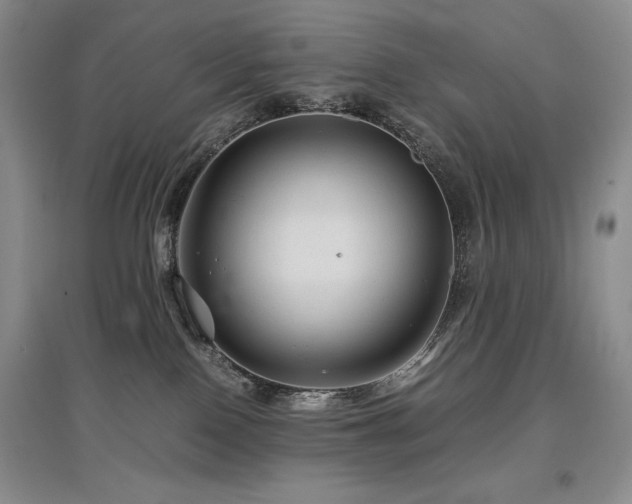 X0000097840090200803141217