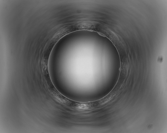 X0000097840091200803141217