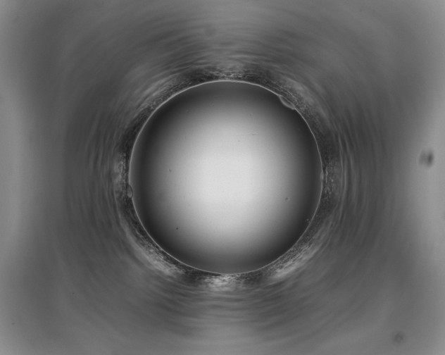 X0000097840092200803141217