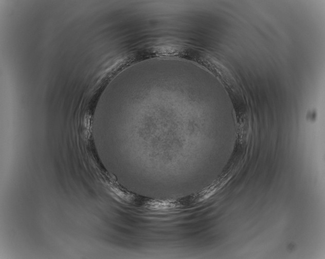 X0000097840093200803141217