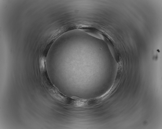 X0000097840094200803141217
