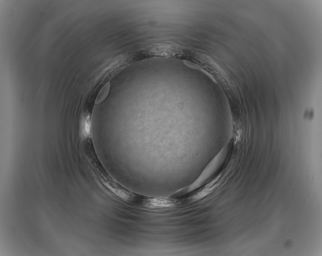 X0000097840095200803141217