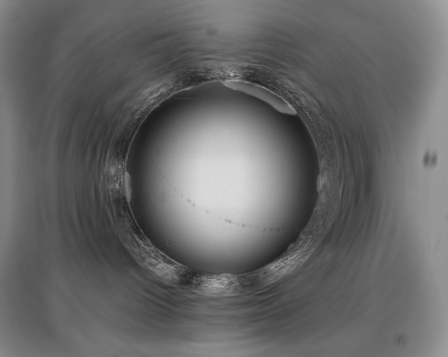 X0000097840096200803141217